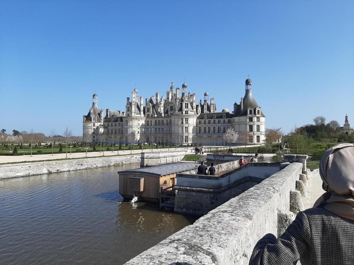 Le Cosy Des Prebendes Tours Exterior photo